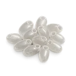 Bed Bug Eggs